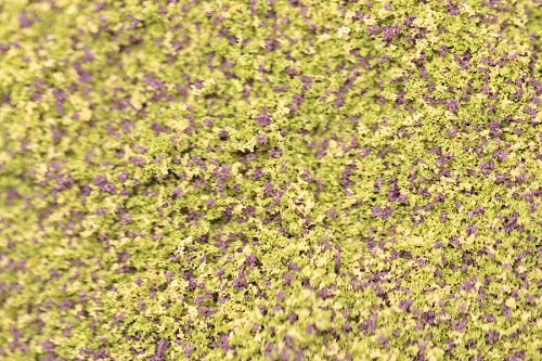 GS105 Fine Grade Scatters - Moorland Mix