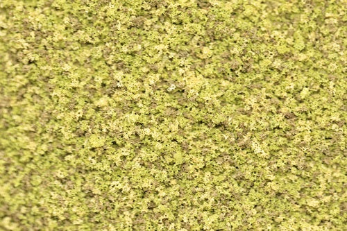 GS120 Fine Grade Scatters - High Summer Green