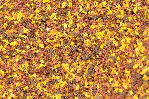 GS207 Coarse Grade Scatters - Autumn Gold