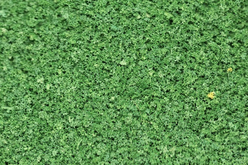 GS218 Coarse Grade Scatters - Willow Green