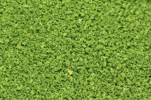 GS220 Coarse Grade Scatters - Oak Leaf Green