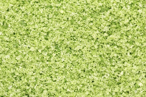 GS223 Coarse Grade Scatters - Coppice Green