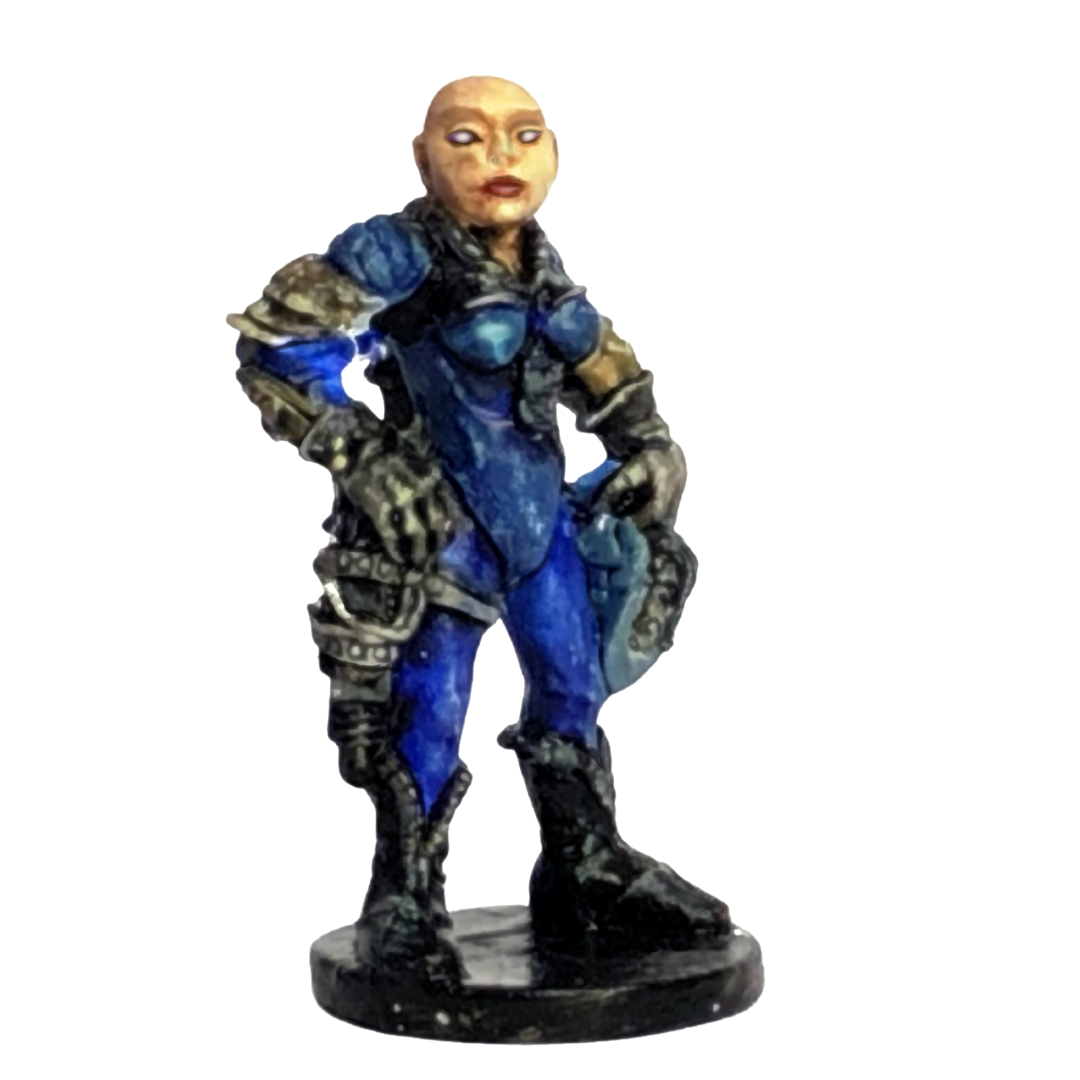 Ship's Crew Navigatress