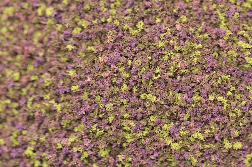 GS104 Coarse Grade Scatters - Heather