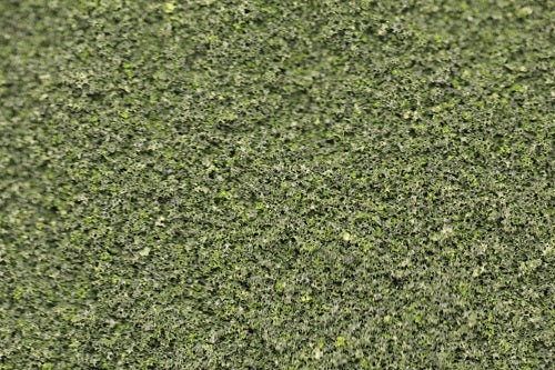 GS131 Fine Grade Scatters - Woodsorrel Green