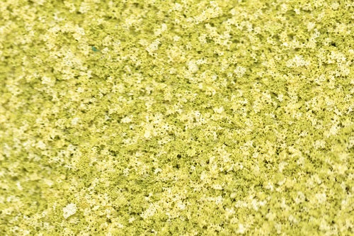GS204 Coarse Grade Scatters - Blended Light Green