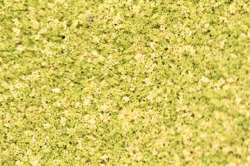 GS208 Coarse Grade Scatters - Spring Light Green