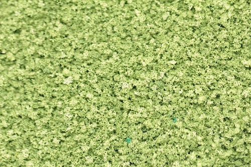 GS213 Coarse Grade Scatters - Dappled Light Green