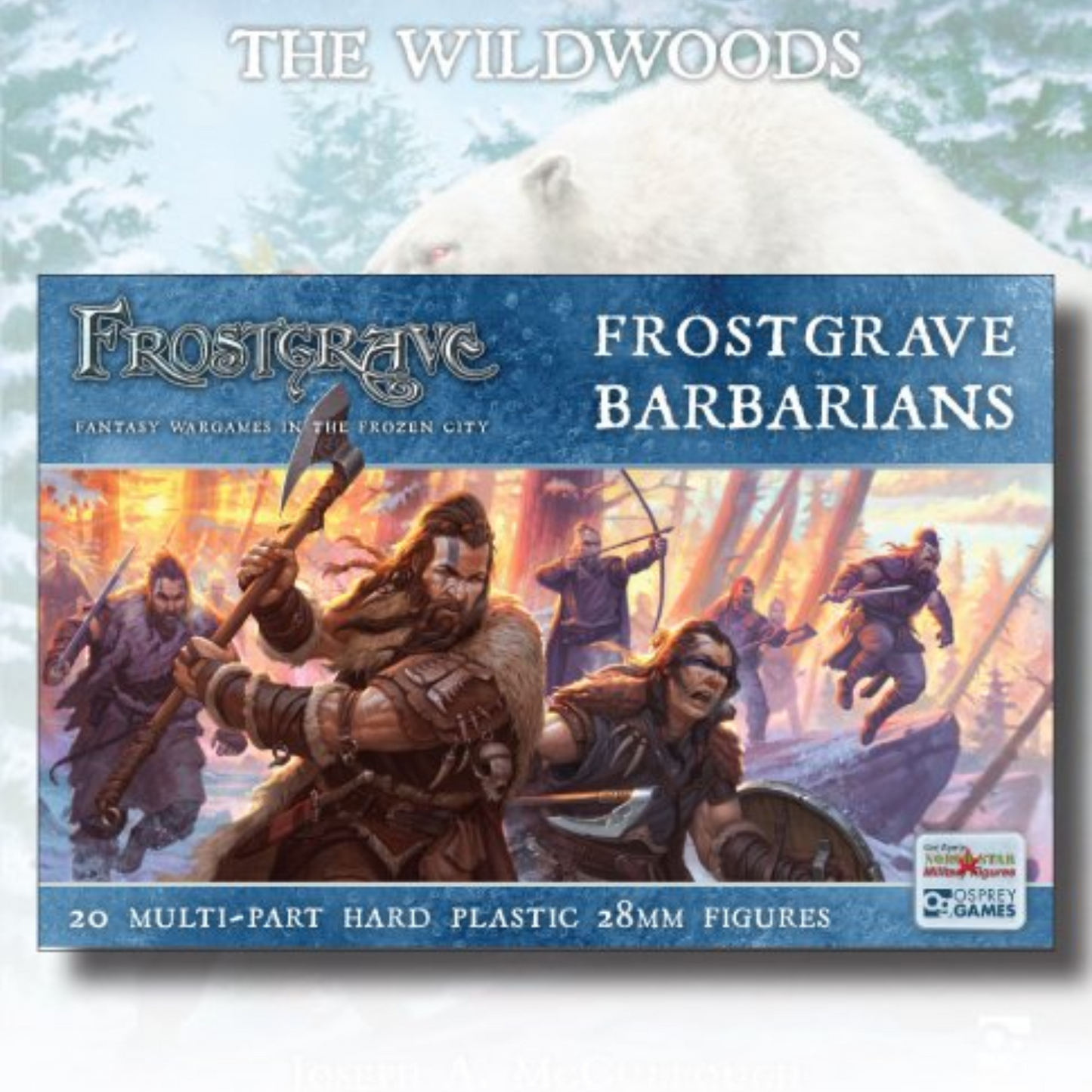 Frostgrave Soldiers