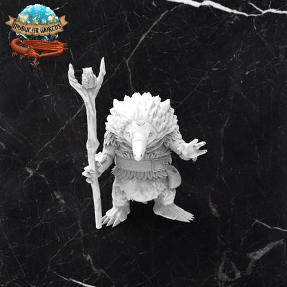 Echidna Druid: Tabletop Gaming Miniature (Resin 3D Print)