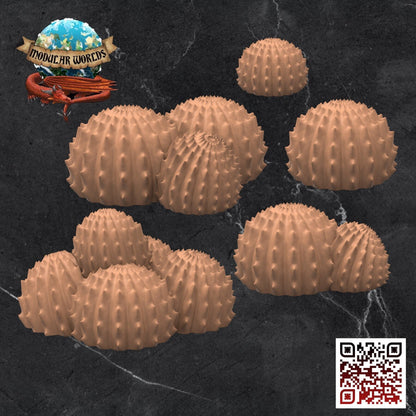 Ball Cacti Set