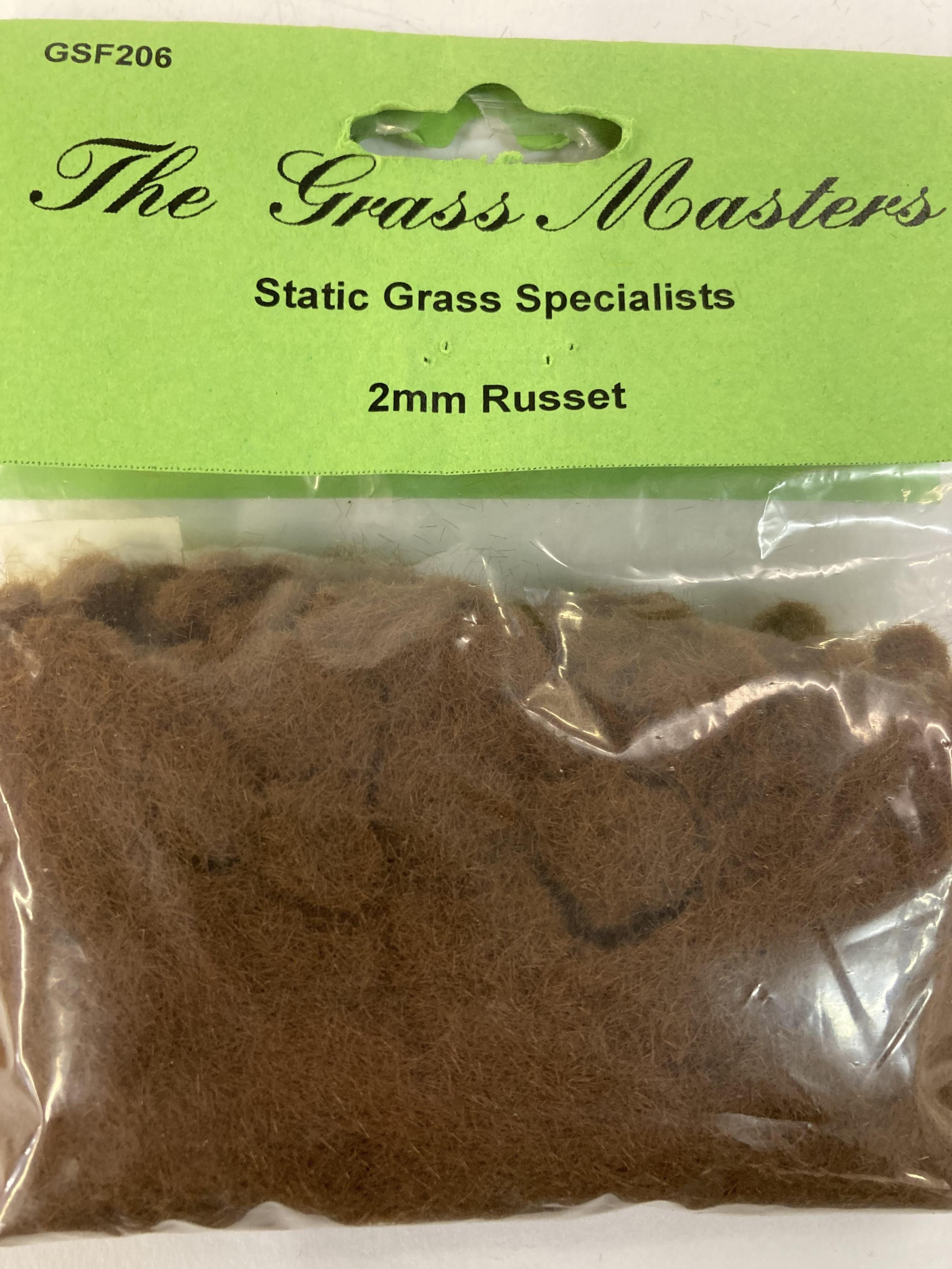 Master 2480 GSF206 Grass Masters Flock - 2mm Russet – em4miniatures