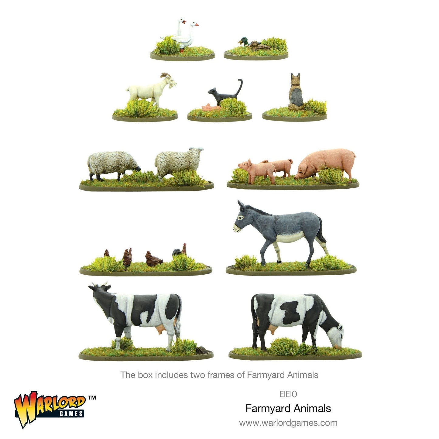 Farmyard Animals