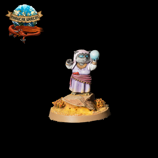 Raccoonfolk Mystic: Tabletop Gaming Miniature (Resin 3D Print)
