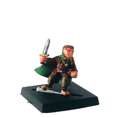 Elfsera The Adventurers - Prepainted Miniatures Set